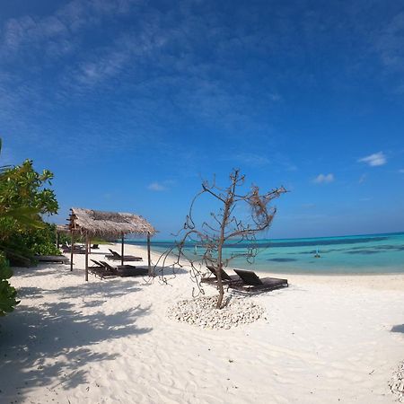 Shamar Guesthouse & Dive Maamigili Eksteriør bilde
