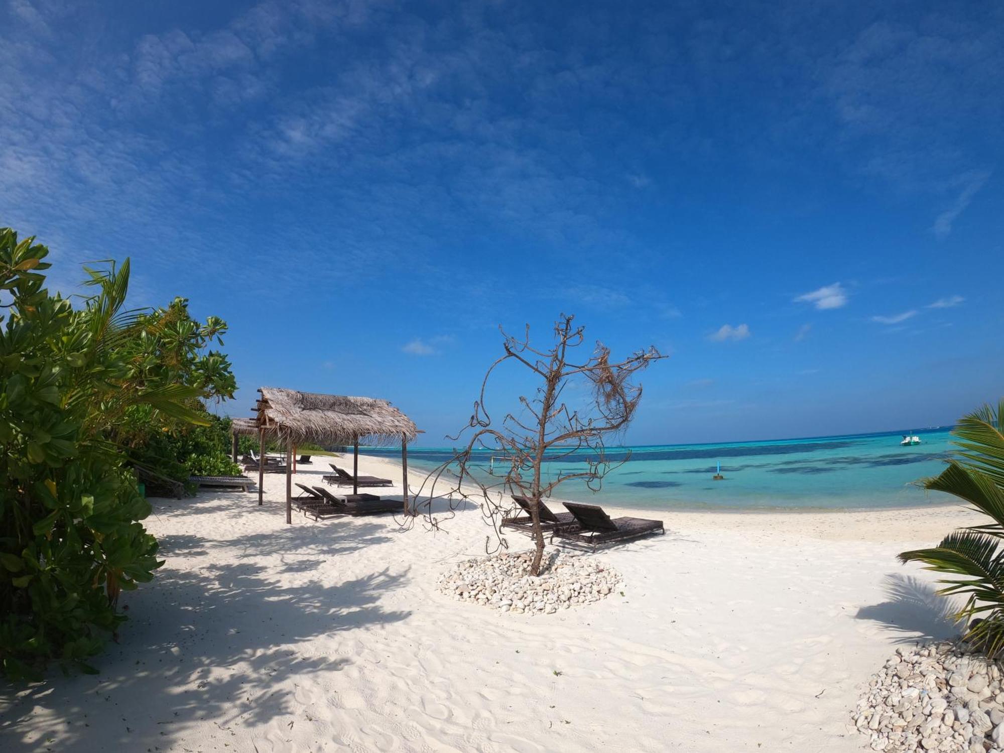 Shamar Guesthouse & Dive Maamigili Eksteriør bilde